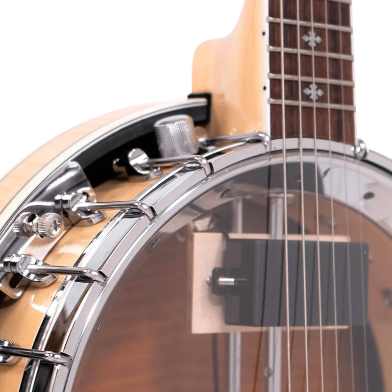 Gold Tone GT-750: Banjitar Deluxe with Case