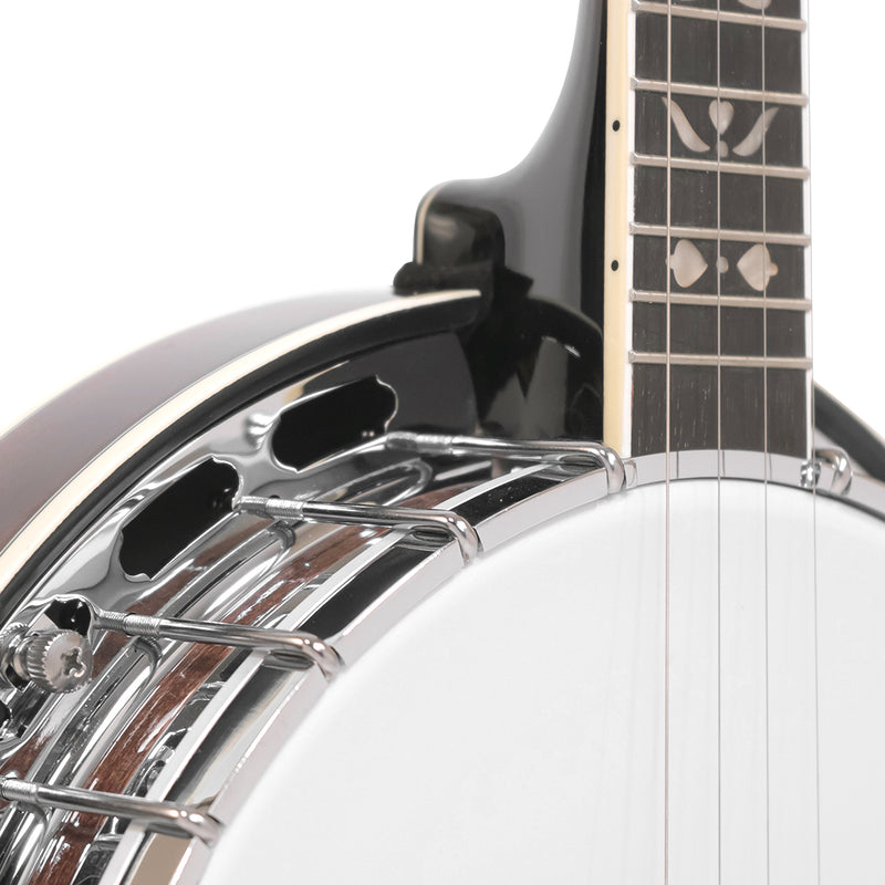 Gold Tone PS-250: Plectrum Special Banjo with Case