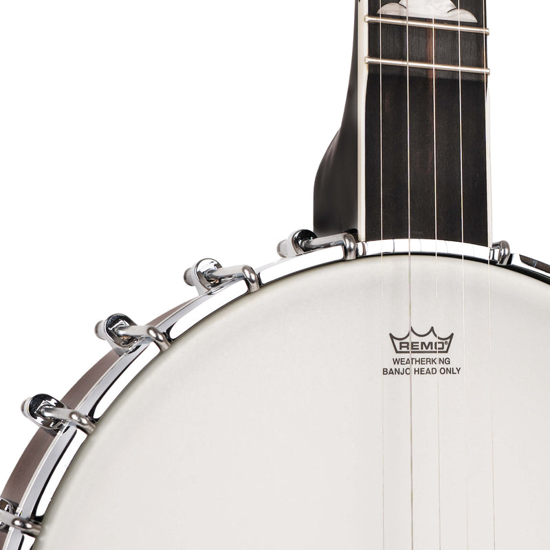 Gold Tone Mastertone™ WL-250: White Ladye Banjo with Case