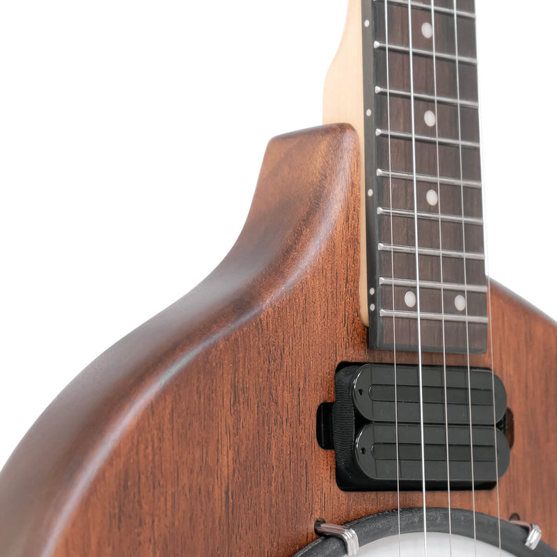 Gold Tone EB-5 Electric Banjo with Gig Bag