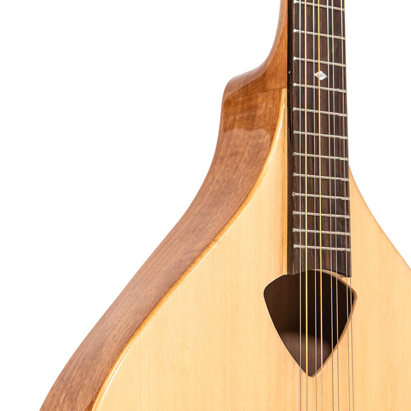 Gold Tone BZ-500: Irish Bouzouki Mandolin with Pickup and Case