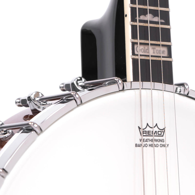 Gold Tone IT-250: Irish Tenor Banjo with Case