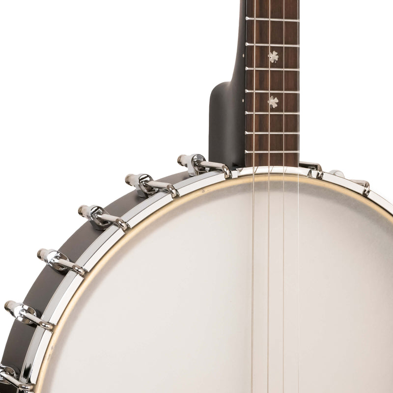 Gold Tone  IT-19: Irish Tenor Banjo with 19 Frets and Gig Bag