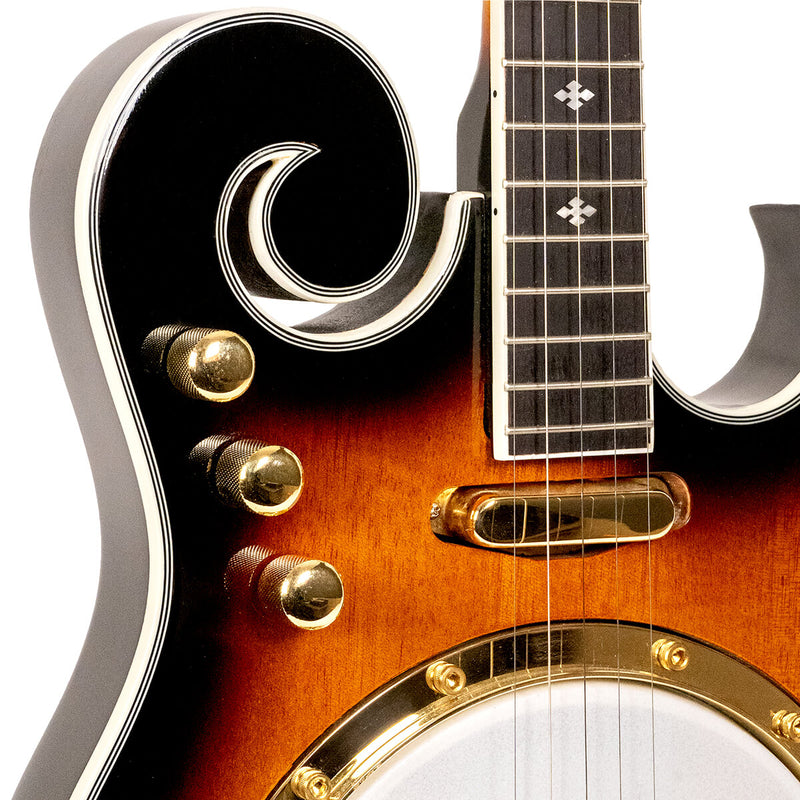 Gold Tone EBM-5: Electric Banjo