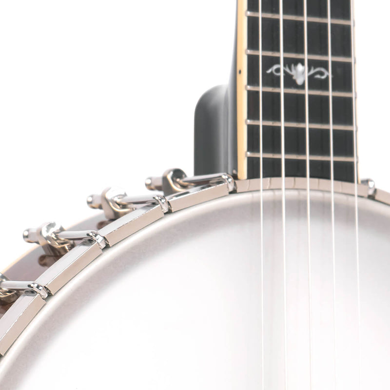Gold Tone CEB-5: 5-String Cello Banjo with Case