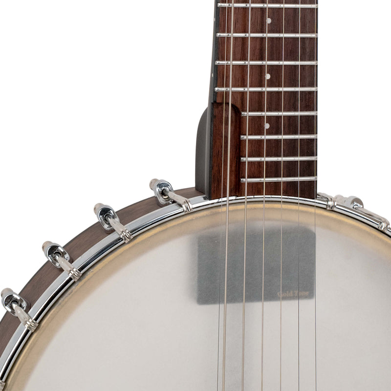 Gold Tone WR-7: Wayne Rogers Signature 7-String Banjitar with Bag