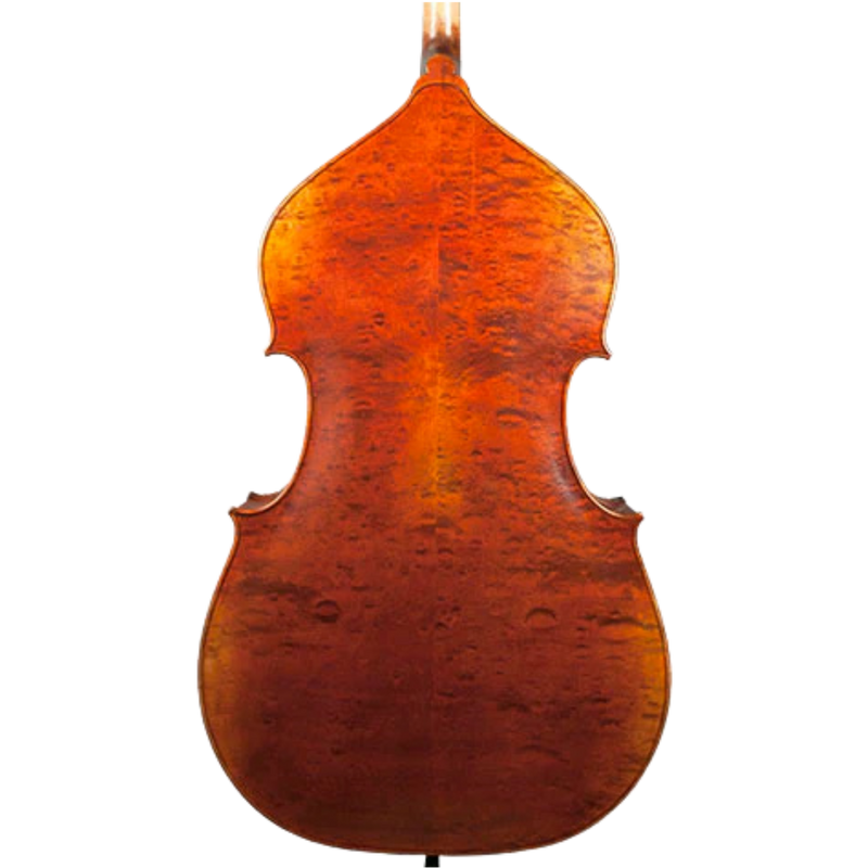 Nicolas Parola VB15E Bass