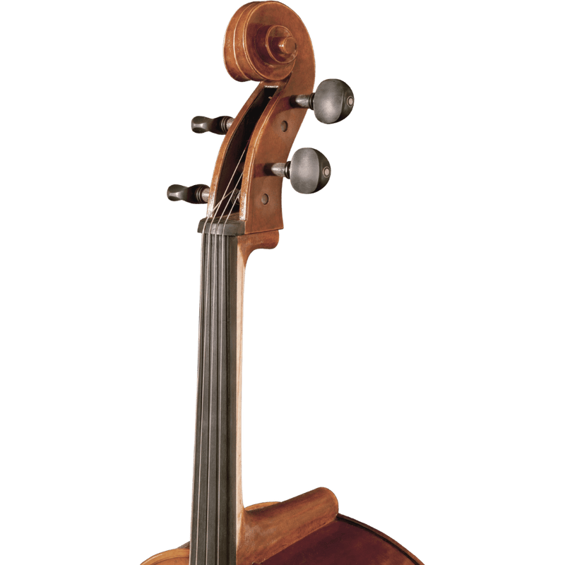 Maple Leaf Strings Chaconne Intermediate Cello with Case