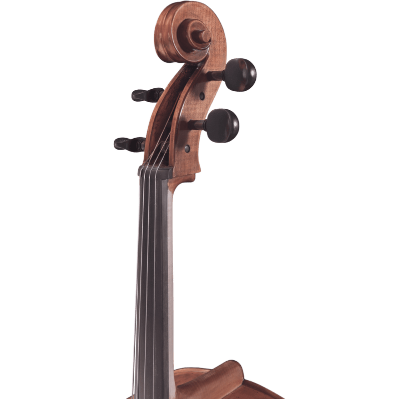 Maple Leaf Strings Mls130 Intermediate Cello Outfit with Bow and Case