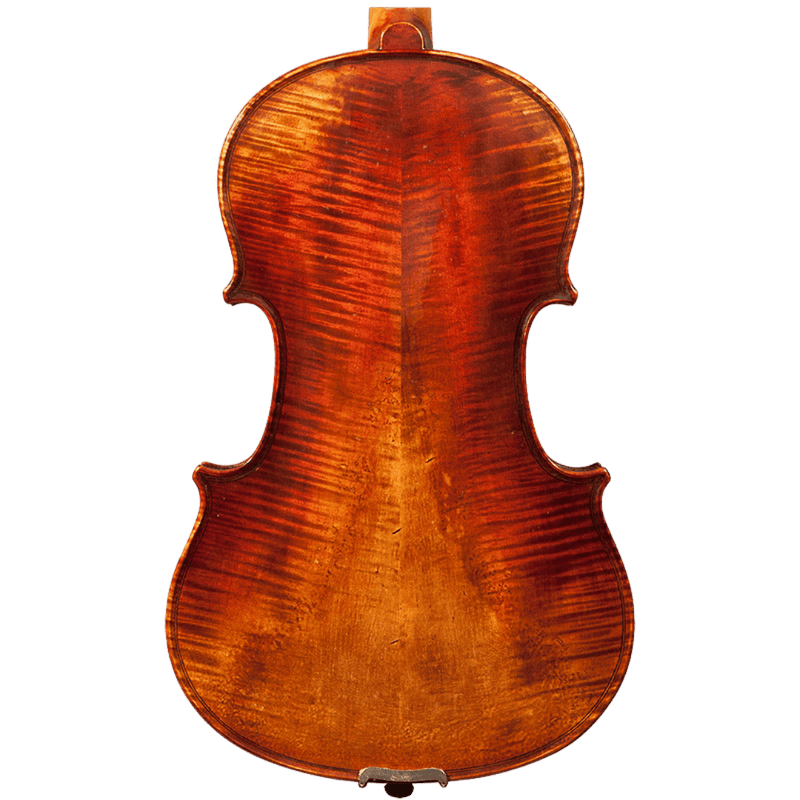 Nicolas Parola AP7 Viola