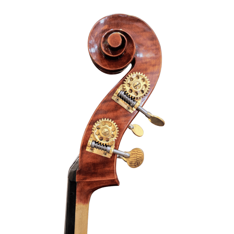 Nicolas Parola VB15E Bass