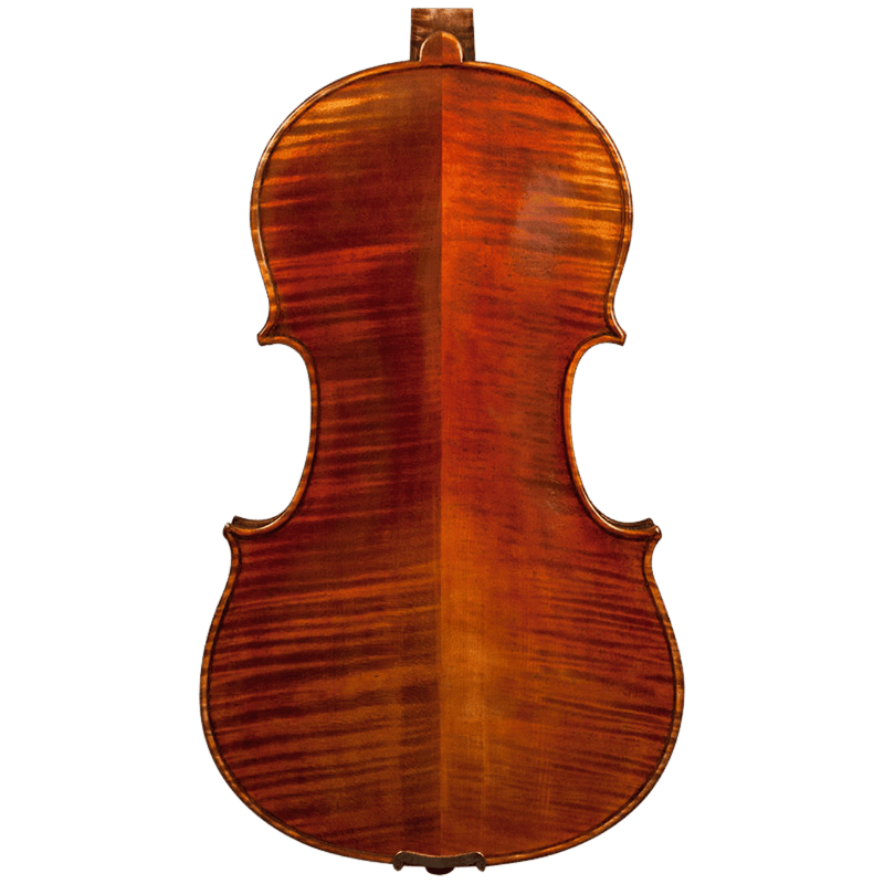 Nicolas Parola AP20N Viola