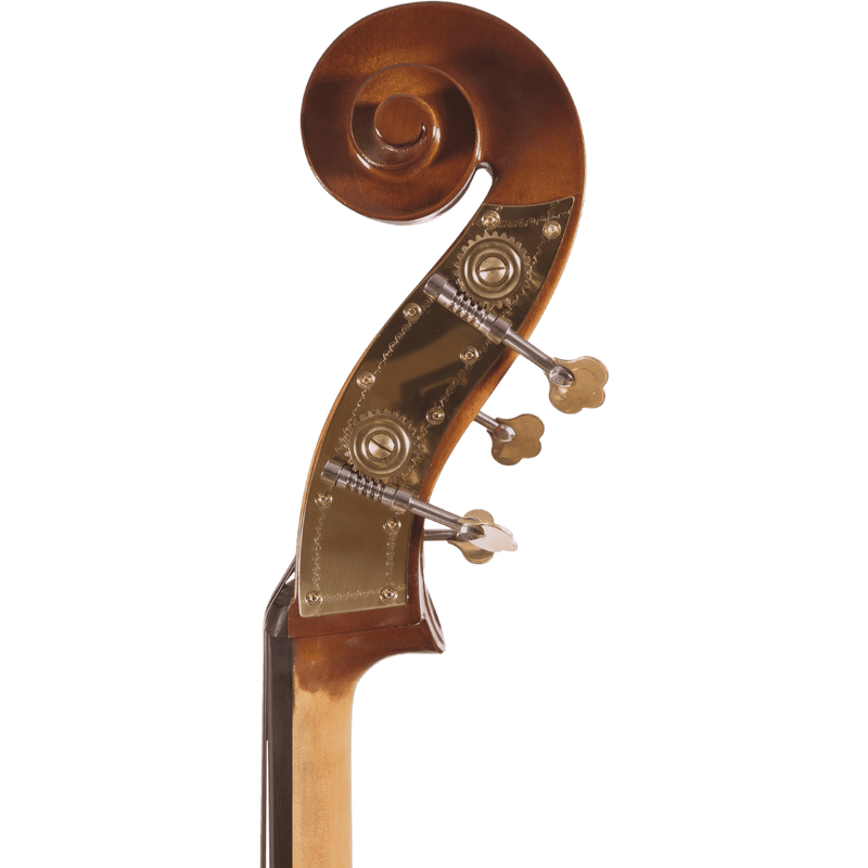 Maple Leaf Strings Mls110 Beginner Bass Outfit with Bow and Case
