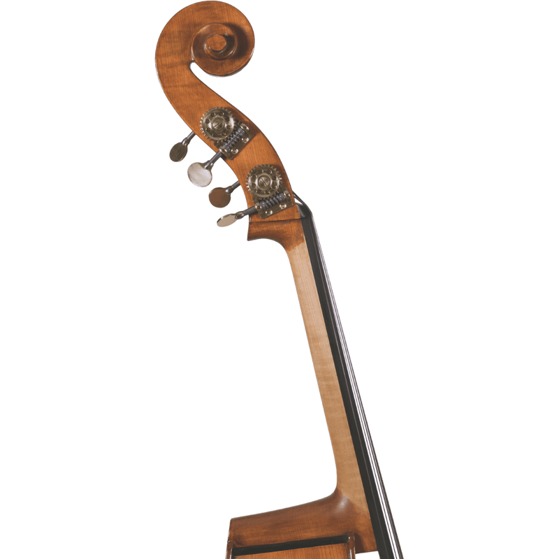 Maple Leaf Strings Mls140 Intermediate Bass with Case