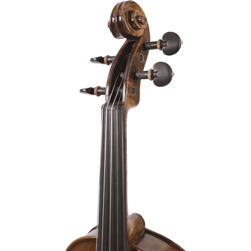 Maple Leaf Strings Burled Maple Intermediate Violin with Case