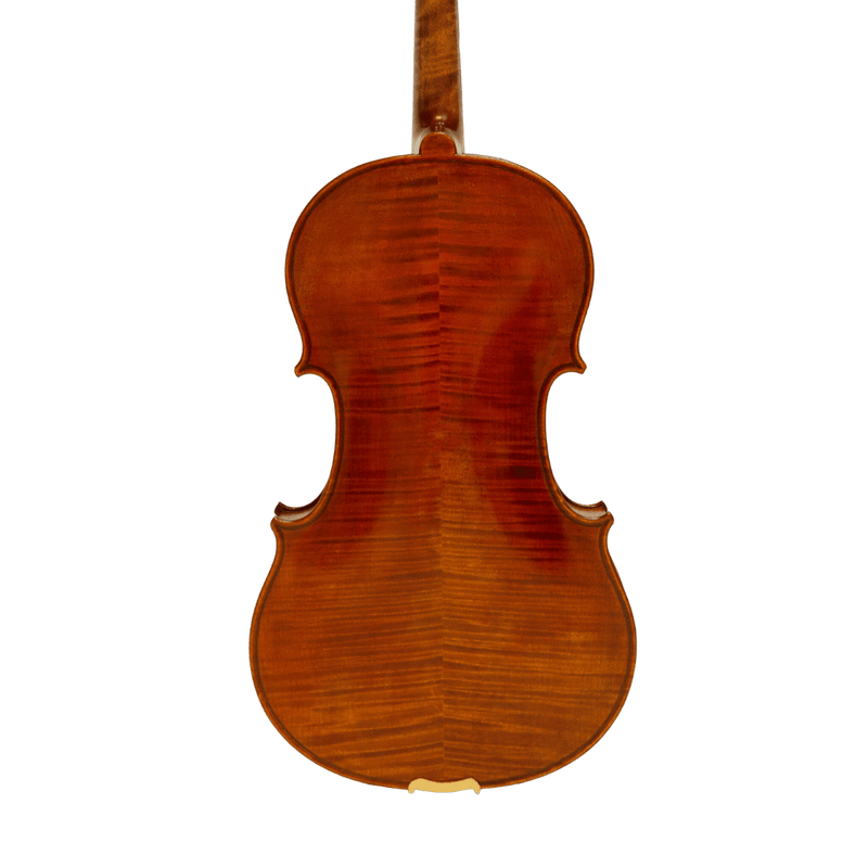Nicolo Marcasi Viola