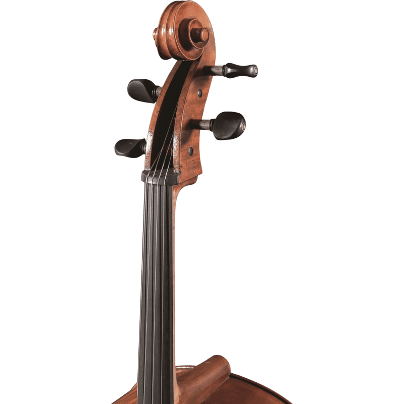 Maple Leaf Strings Master Lucienne Advanced Cello with Case