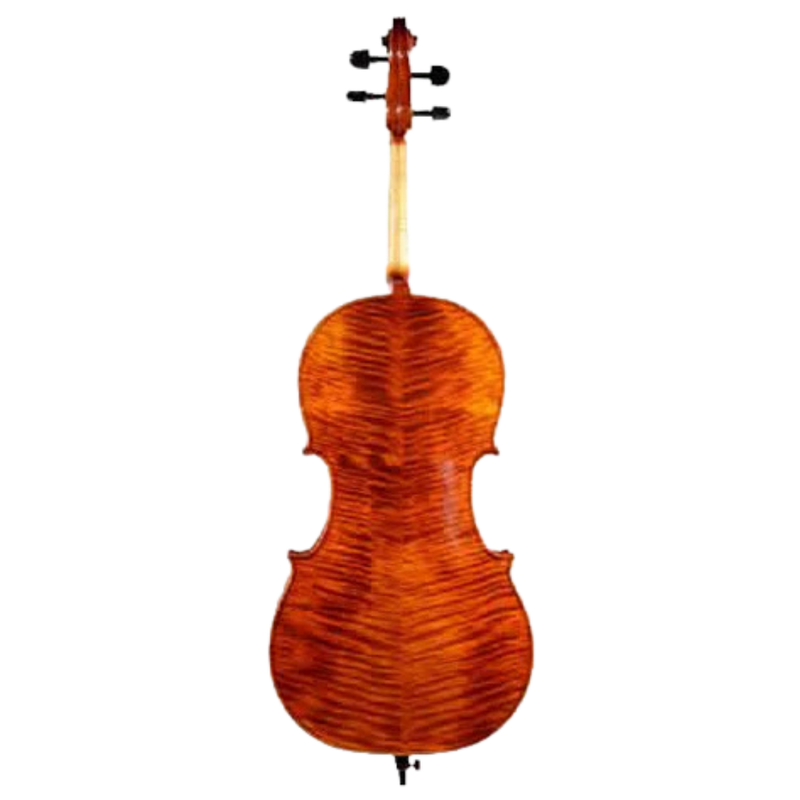 H. Luger C500 Cello Outfit