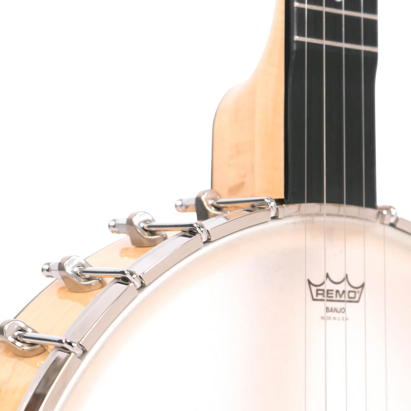 Gold Tone BC-350: Bob Carlin Banjo with Case