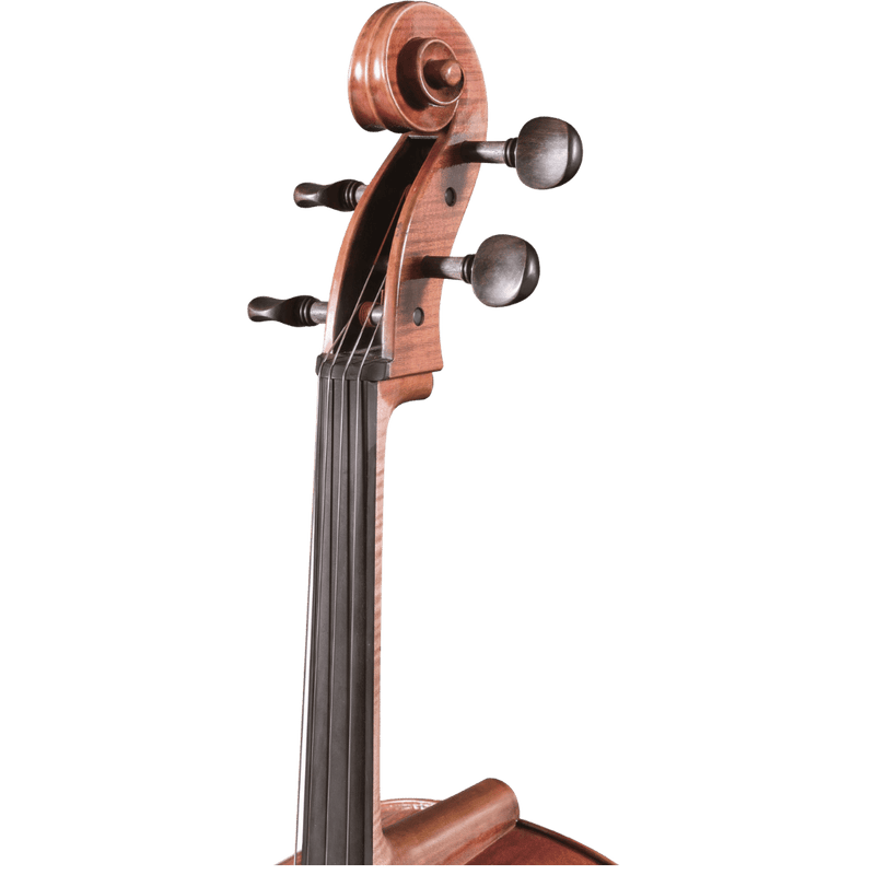 Maple Leaf Strings Master Xu Advanced Cello with Case