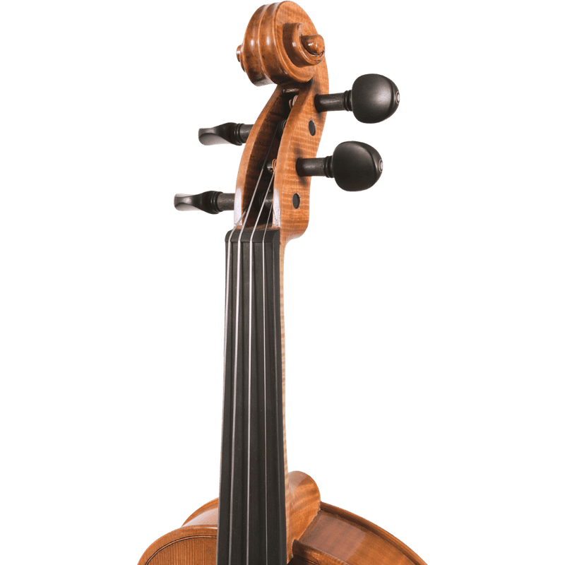 Maple Leaf Strings Mls140 Beginner Violin Outfit with Bow and Case