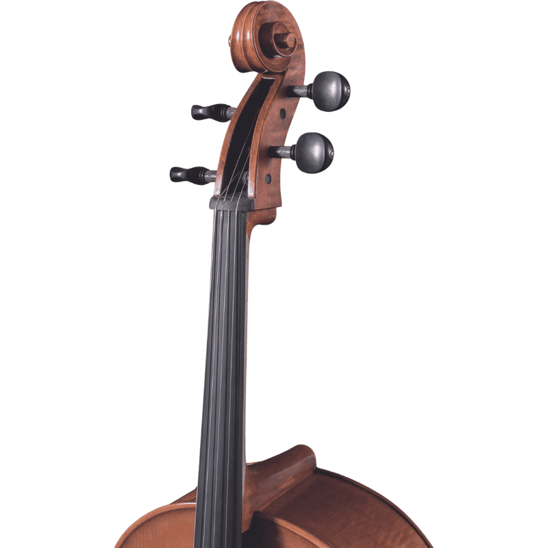 Maple Leaf Strings Lady Claire professional Cello with Case