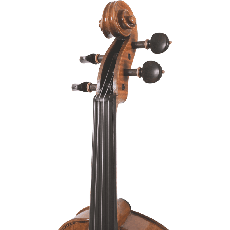 Maple Leaf Strings Master Lucienne Advanced Violin with Case