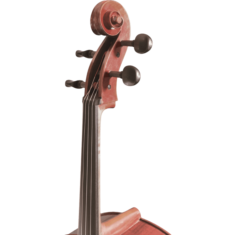 Maple Leaf Strings Master Linn Advanced Cello with Case