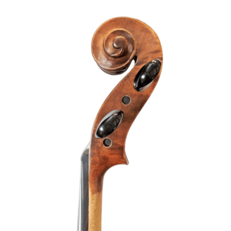 Ametto CA150 Viola Outfit