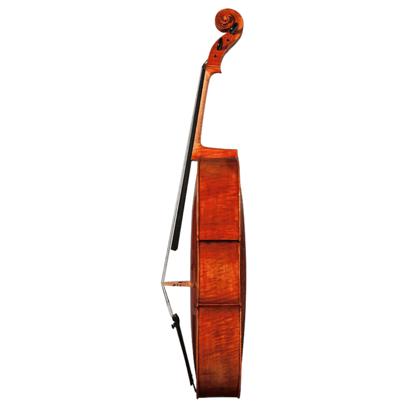 Nicolas Parola CP30N Cello