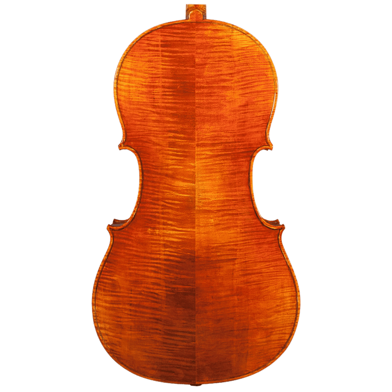 Nicolas Parola CP20N Cello