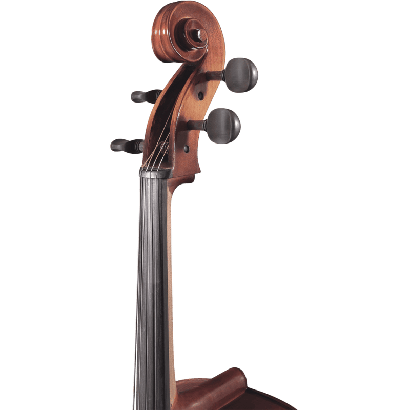 Maple Leaf Strings Mls110 Beginner Cello Outfit with Bow and Case