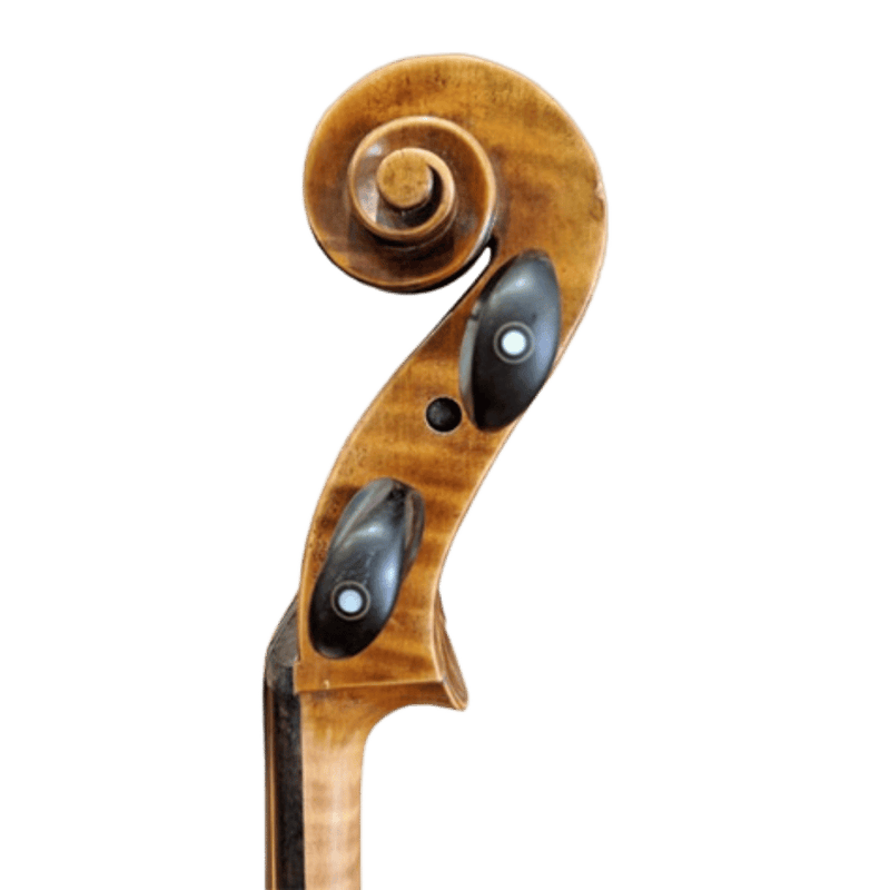 Stefan Petrov Standard Cello