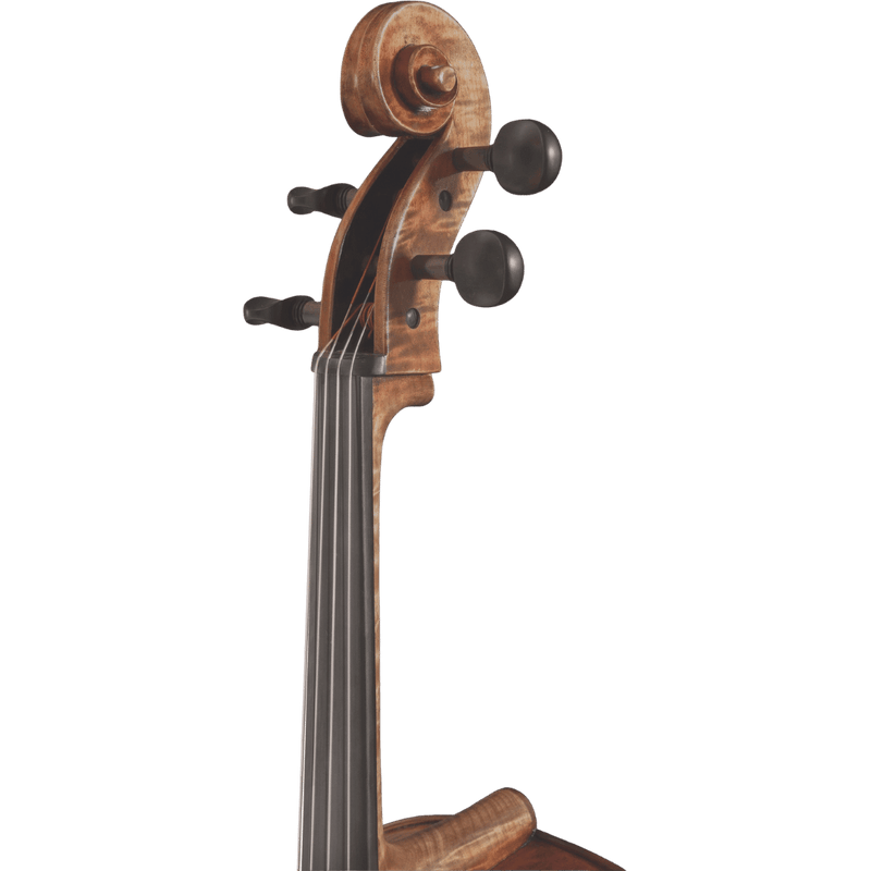 Maple Leaf Strings Haddock professional Cello with Case