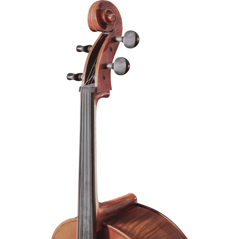 Maple Leaf Strings Ruby Intermediate Cello Series with Case