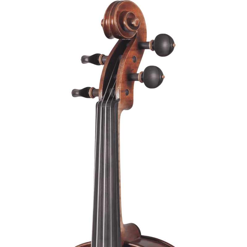 Maple Leaf Strings Master Linn Advanced Violin with Case