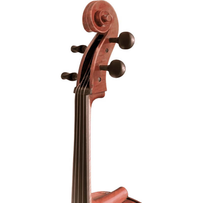 Maple Leaf Strings Ruby Intermediate Cello Series with Case