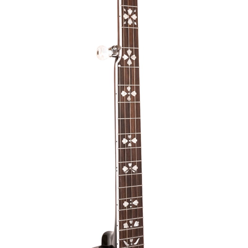 Gold Tone BG-150F: Bluegrass Banjo with Flange and Bag