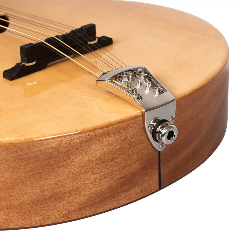 Gold Tone BZ-500: Irish Bouzouki Mandolin with Pickup and Case