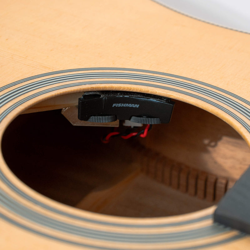 Gold Tone  The Dread: Acoustic-Electric All Solid Wood Guitar with Bag - Satin Natural
