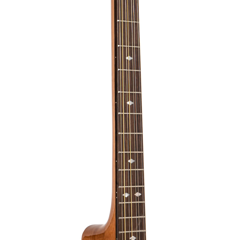 Gold Tone BZ-1000: Guitar-Bodied Bouzouki Mandolin with Case