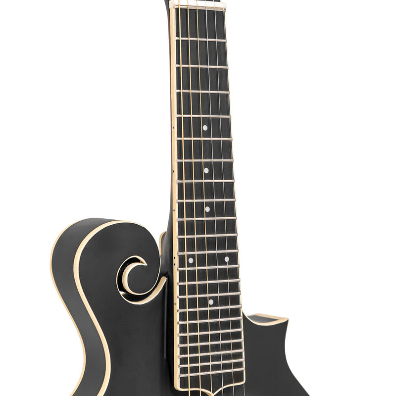 Gold Tone F-6: F-style Mando-Guitar with Pickup and Case