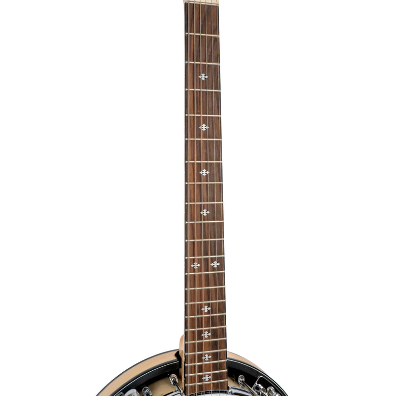 Gold Tone GT-500: Banjitar with Case