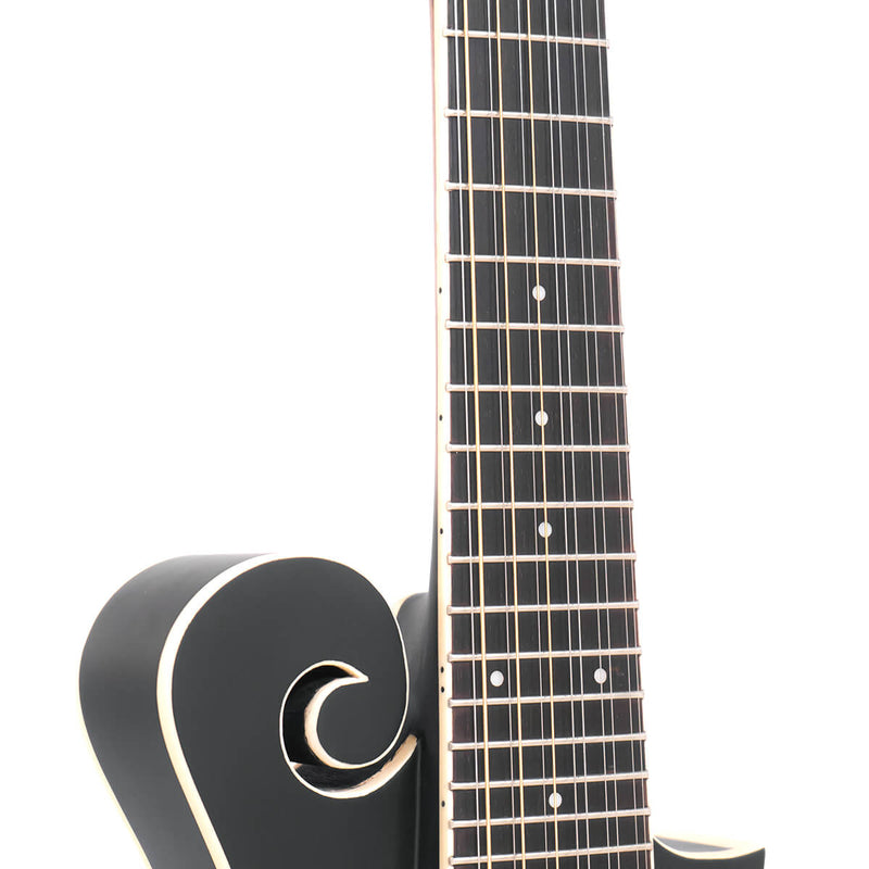Gold Tone F-12: 12-string F-style Mando-Guitar with Pickup and Case