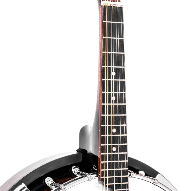 Gold Tone MB-850+: Mandolin-Banjo with Bag