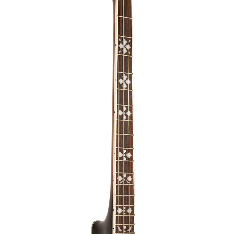 Gold Tone TS-250: Tenor Special Banjo with Case