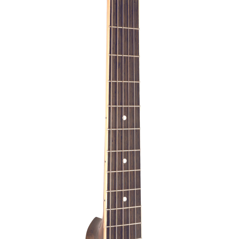 Gold Tone GRS: Paul Beard Metal Body Resonator Guitar