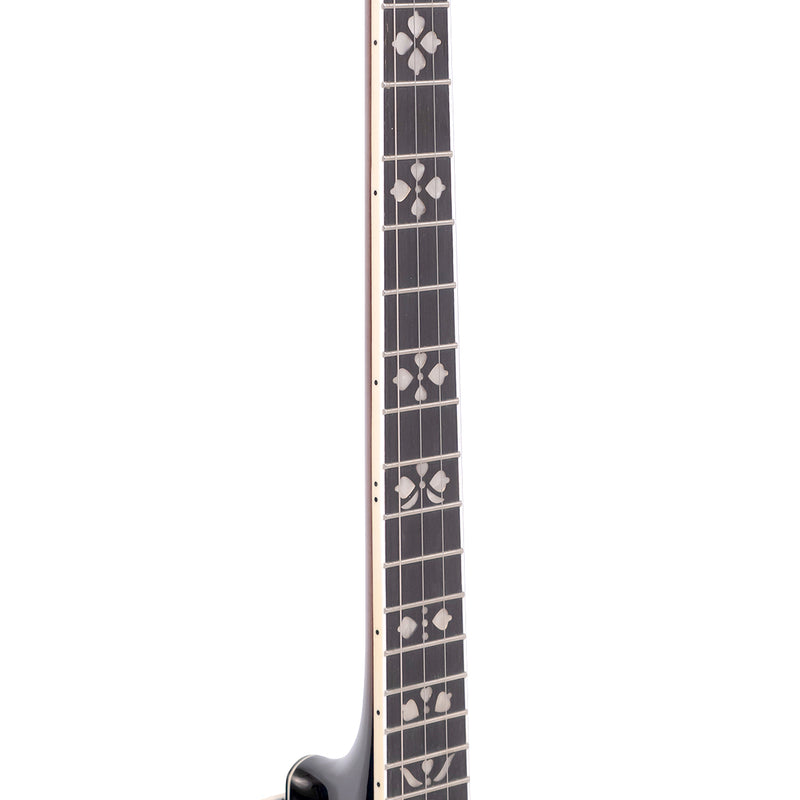 Gold Tone PS-250: Plectrum Special Banjo with Case