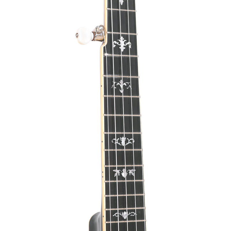 Gold Tone CEB-5: 5-String Cello Banjo with Case