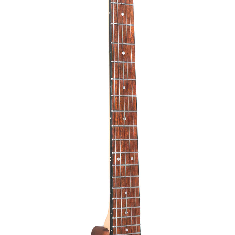 Gold Tone EB-6: Electric Banjitar with Gig Bag